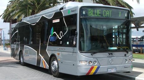 Transdev Australasia cat bus Perth beachside