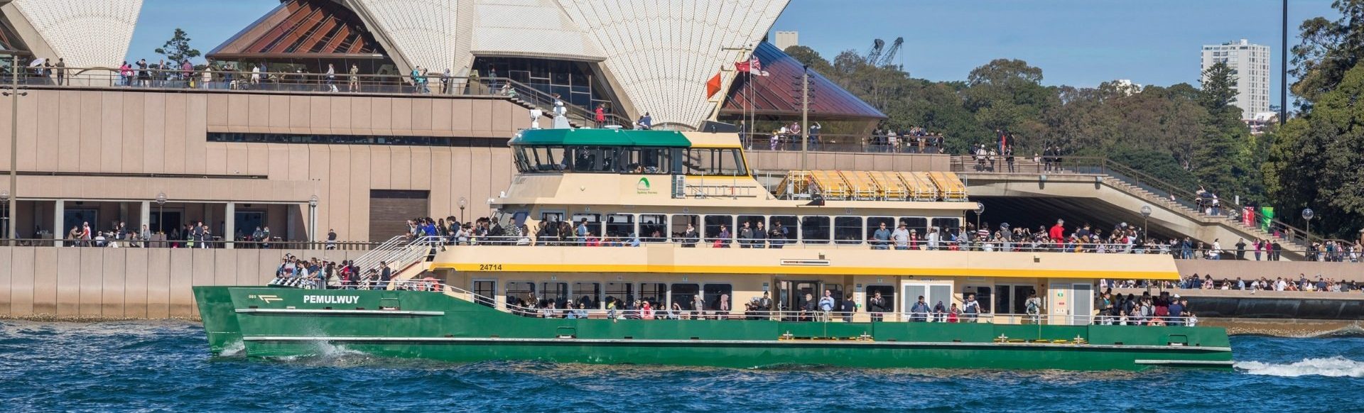 bus, train, ferry, light rail, Australia, New Zealand